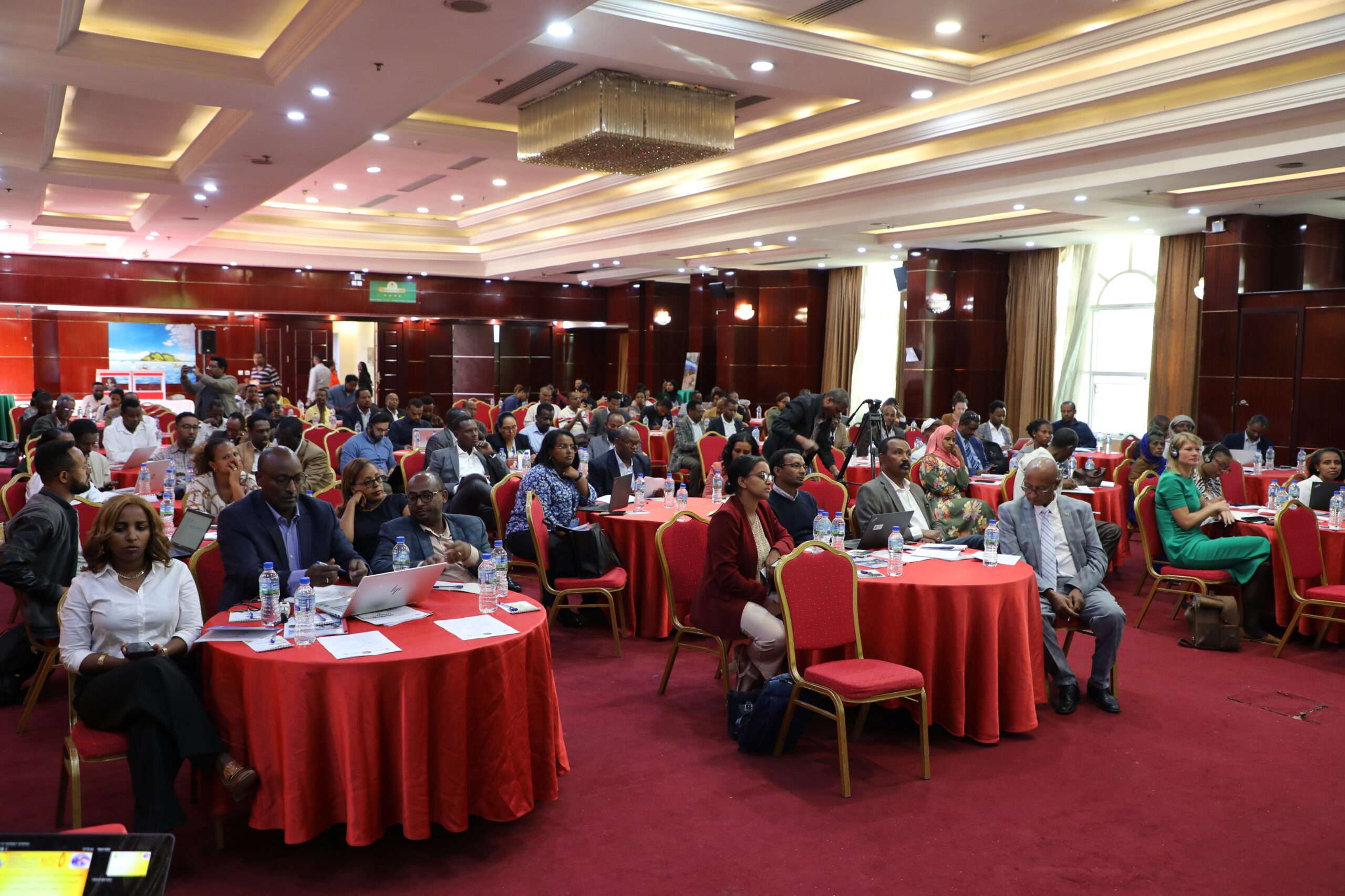 National conference on the situation of IDPs in Ethiopia: (Re)imagining the path for durable solutions 
