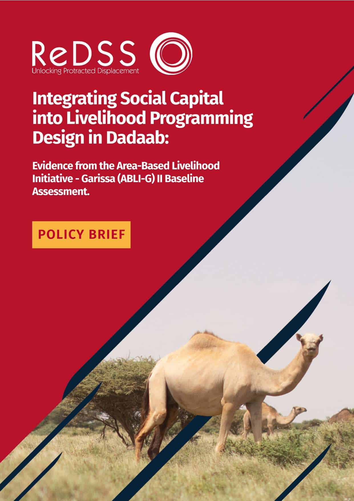 Integrating Social Capital into Livelihood Programming Design in Dadaab