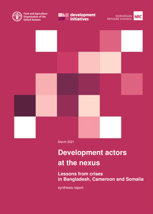 Development-actors-at-the-nexus_-Lessons-from-crises-in-Bangladesh_-Cameroon-and-Somalia_-synthesis-