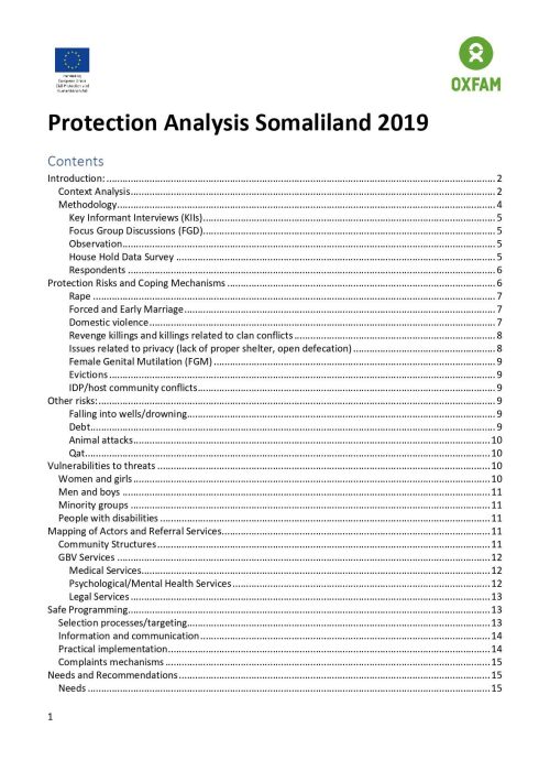 Protection-Analysis-Report-Somaliland-2019_-002_page-0001